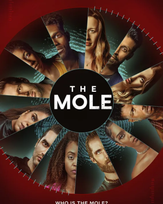 The Mole on Netflix