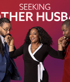 Seeking Brother Husband on TLC